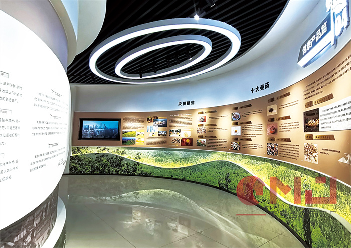 草莓视频二维码展示想要做好应该从哪些方面下手呢？